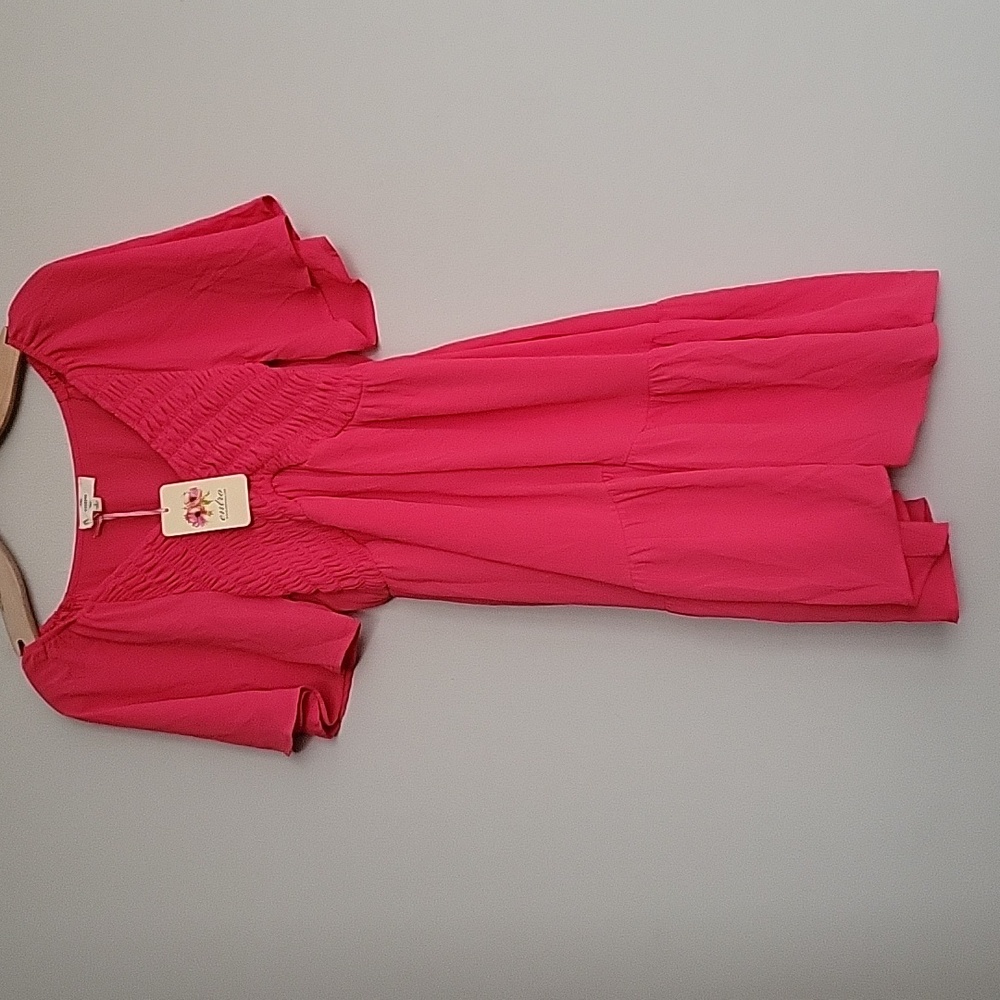 Entro NWT Flutter Sleeve Ruffle Mini Dress